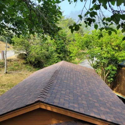 Roofing Services